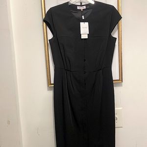 Black cap sleeve dress gathered at the bodice. Buttoned down front of dress.